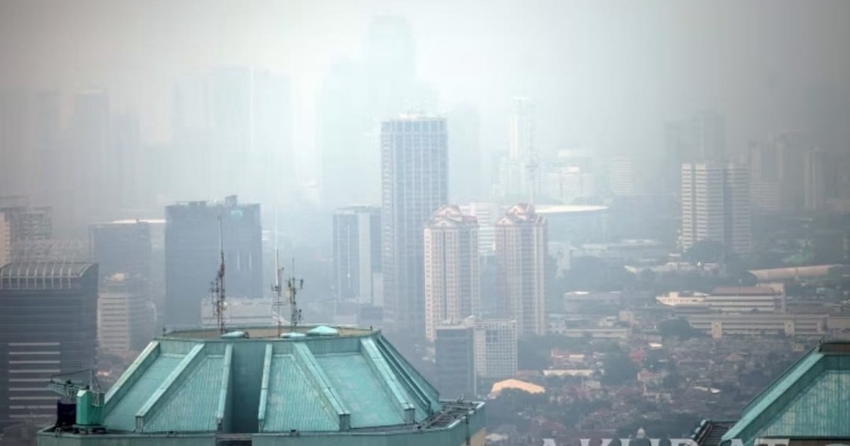 Asap Karhutla Terdeteksi Masuk Udara Jakarta, BMKG Imbau Warga Batasi Aktivitas Luar Ruangan dan Kenakan Masker