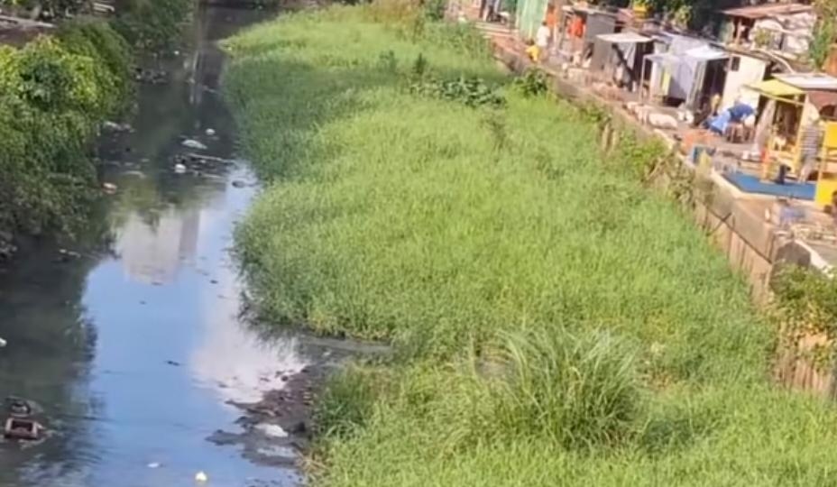 Viral Sampah Menumpuk di Kali Ciliwung Matraman, Gubernur Pramono Akui Postingan Masyarakat di Medsos Percepat Penanganan