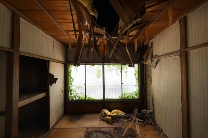 Tanda Rumah Tidak Terawat yang Sering Diabaikan, Kamu Pernah Mengalaminya?