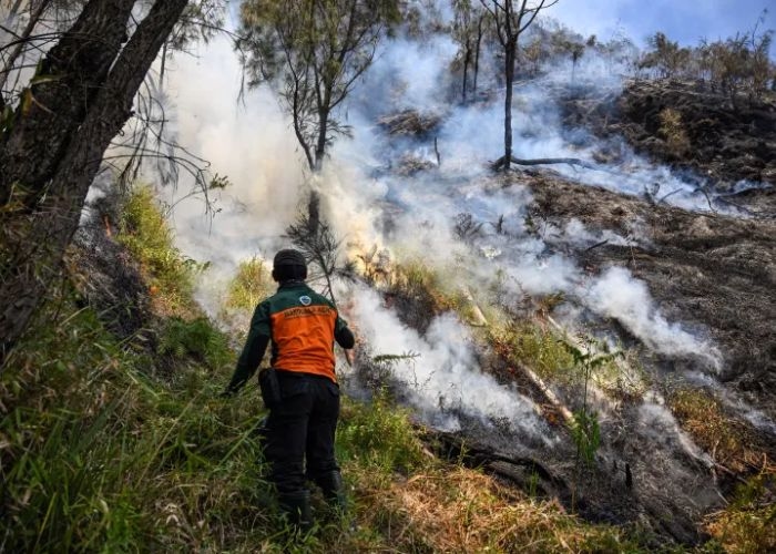 Karhutla Taman Nasional Bromo Tengger Semeru Jadi Perhatian, Siapkan Modifikasi Cuaca