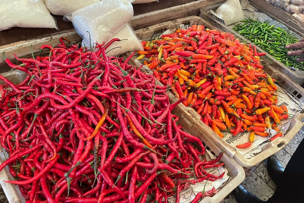 Emak-emak Menjerit! Harga Cabai Rawit Melejit Tembus Rp 90.000 per Kg, Ternyata Ini Penyebabnya