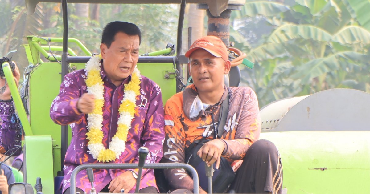Panen Raya 275 Hektare Sawah di Mauk, Bupati Maesyal Optimistis Pasokan Beras di Kabupaten Tangerang Aman