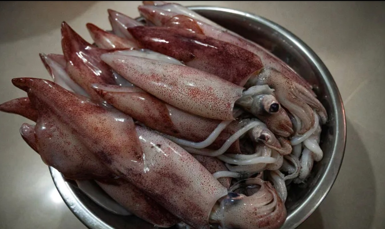 Resep Masak Sotong Hitam yang Lezat dan Gurihnya Nendang