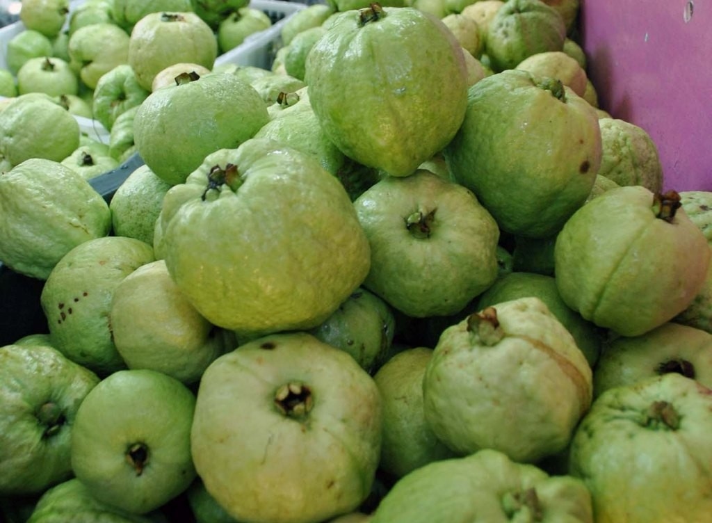 9 Manfaat Jambu Kristal untuk Kesehatan