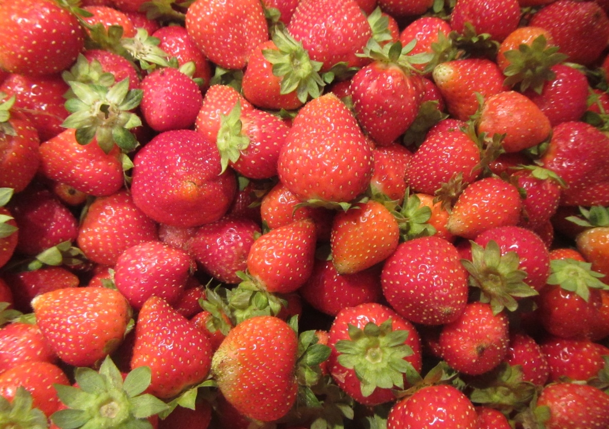 Tahukah Kamu? Konsumsi Harian Stroberi Mampu Menangkal Demensia dan Depresi, Begini Kata Ahlinya