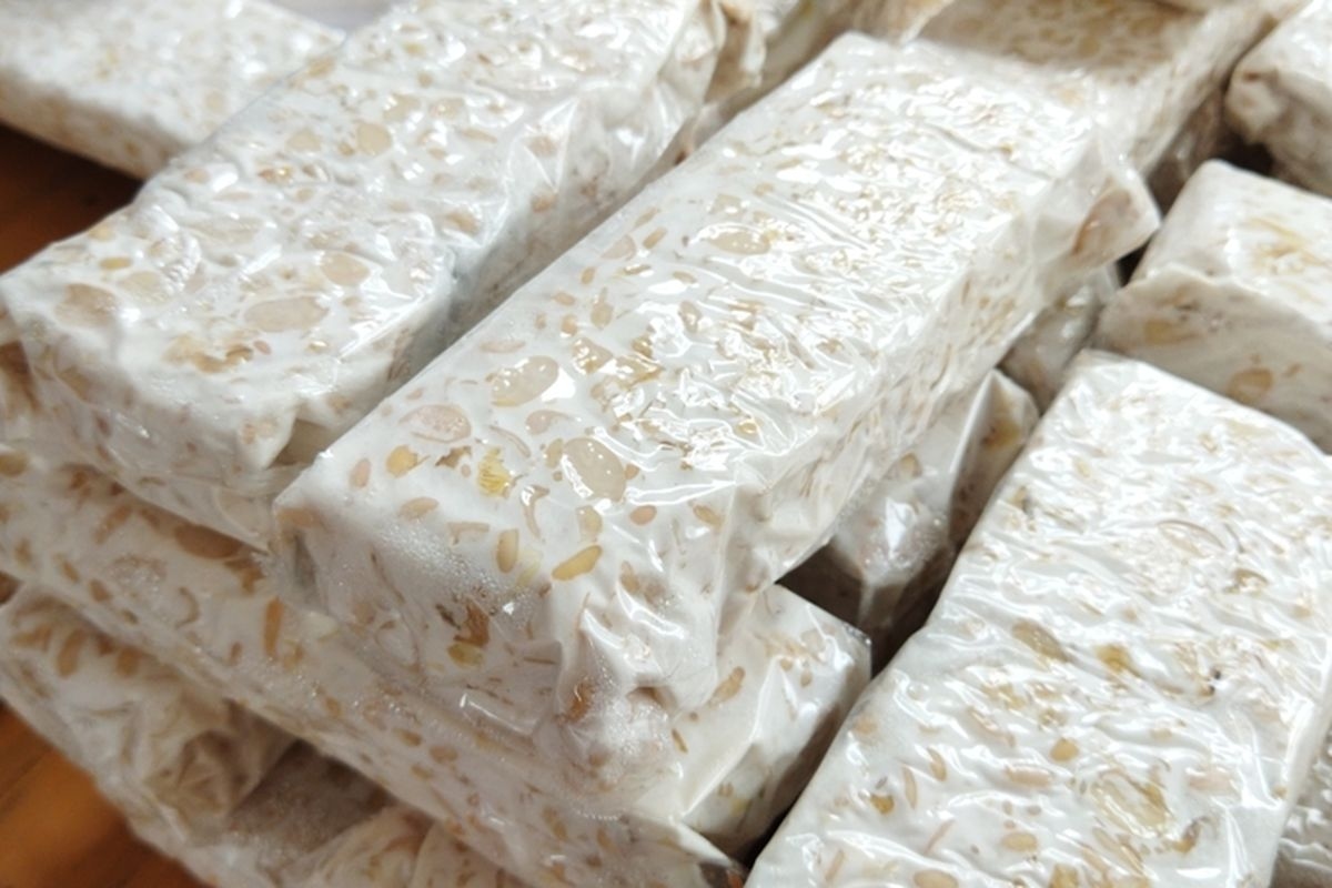 Benarkah Tempe Dapat Digunakan untuk Mengobati Diare hingga Mencegah Asma? Berikut 10 Manfaatnya Bagi Kesehatan