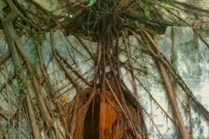 Dari Lighting Art hingga Rumah Akar, Ini 5 Hidden Gem Kota Tua Jakarta yang Jarang Diketahui