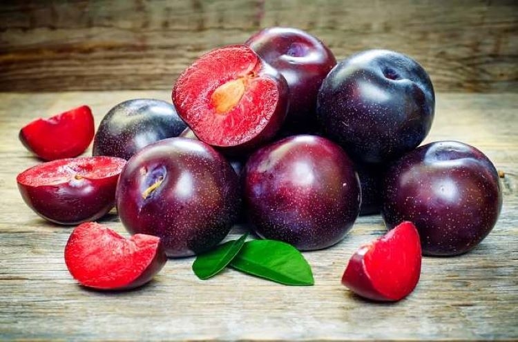8 Khasiat dan Manfaat Mengonsumsi Buah Natal Plum Bagi Kesehatan, Tapi Hati-hati dengan Bijinya! 