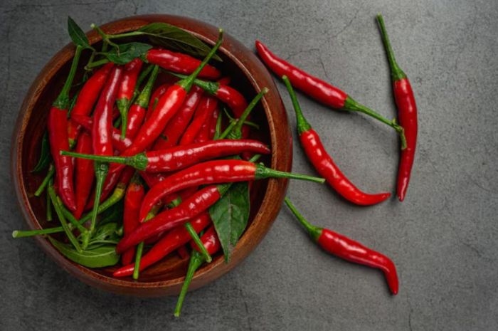 7 Trik Simpan Cabai agar Awet dan Tetap Pedas yang Perlu Diketahui