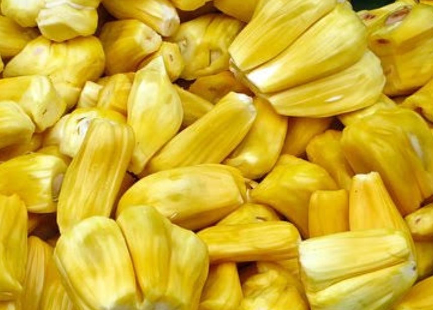 Manfaat Buah Nangka untuk Kesehatan: Cegah Kanker sampai Penuaan Dini