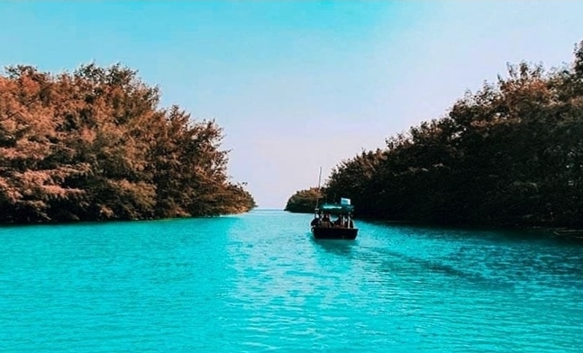 Ada Taman sampai Pulau, Ini 5 Rekomendasi Tempat Healing Dekat Jakarta yang Ramah Kantong