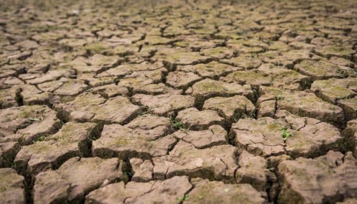 BMKG Peringatkan El Nino Bertahan Hingga 2027, Potensi Kemarau Lebih Kering