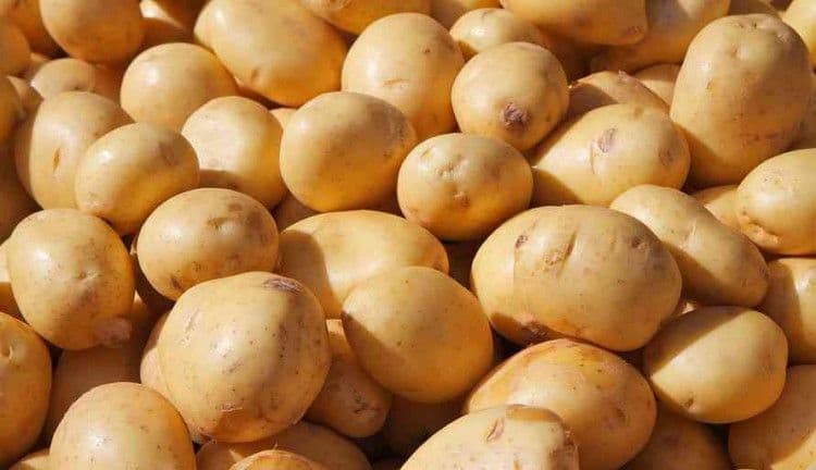 Kamu Masih Simpan? Ini 8 Tanda Bahan Dapur yang Sudah Tak Aman Dikonsumsi karena "Kadaluarsa"