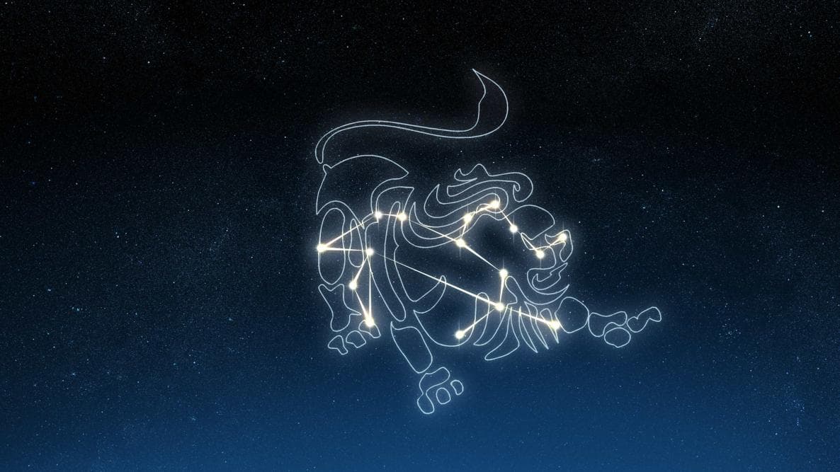 Modis dan Stylish, Berikut 3 Zodiak yang Penampilannya Selalu Kece Parah