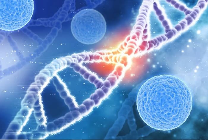 Mengenal Enzim: Fungsi, Struktur, dan Sifatnya dalam Pelajaran Biologi Kelas 12