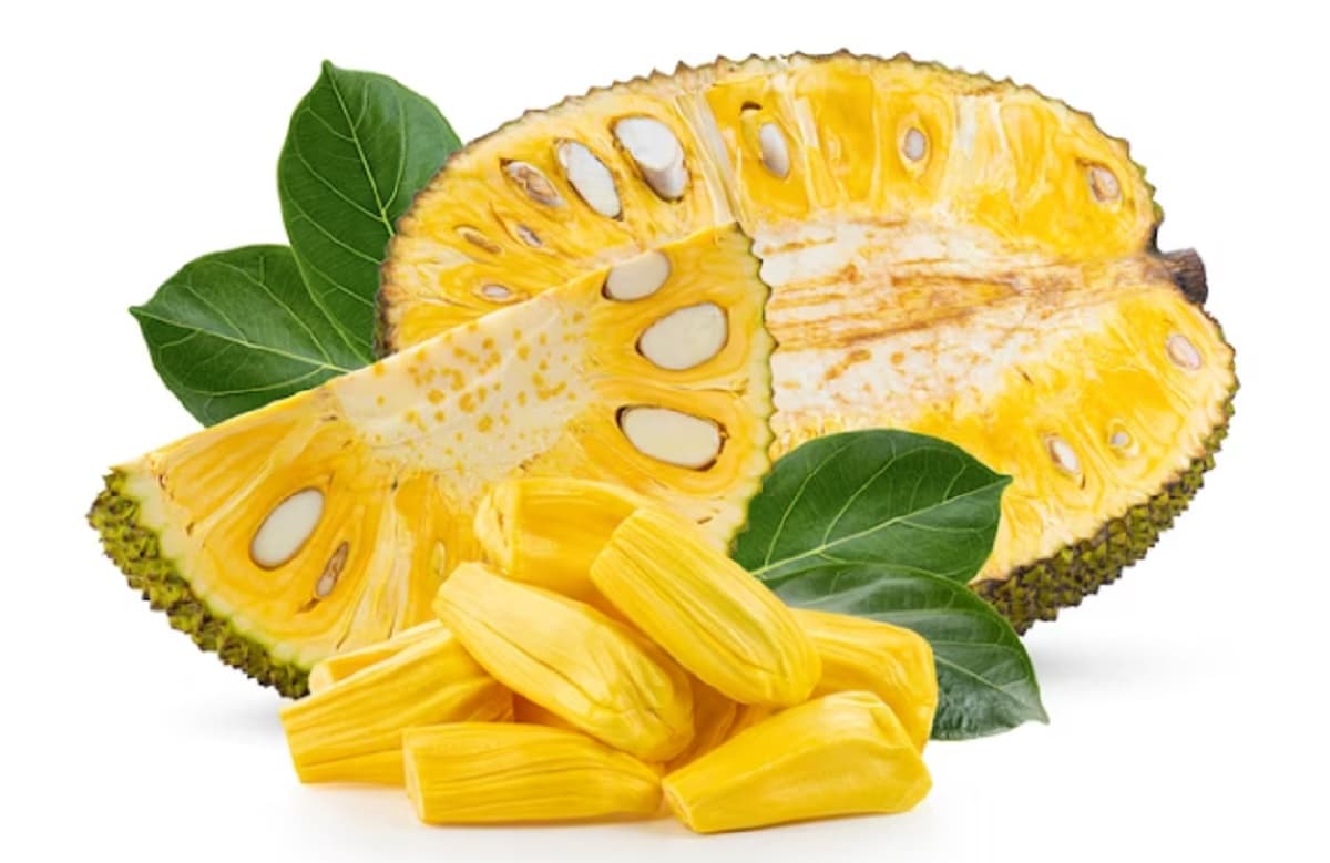 CATAT! Berikut Ini 7 Manfaat Buah Nangka Bagi Kesehatan, dari Melancarkan Pencernaan hingga Mencegah Penuaan Dini