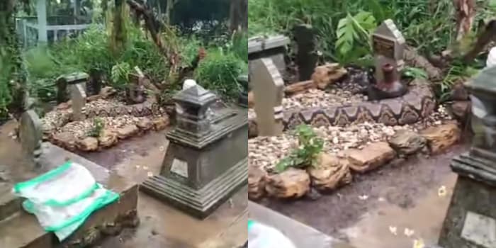 Viral Video Penampakan Ular Raksasa di Atas Makam Bikin Heboh Netizen, Berkaitan Dengan Hal Ghaib?