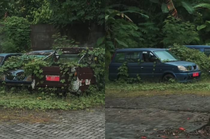 Tak Terawat dan Ditumbuhi Rumput, Puluhan Mobil Pemkot Tangerang Ditemukan Terlantar