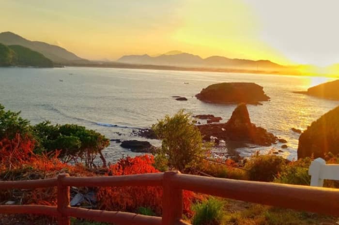 Resmi Terbang, Penerbangan Perdana Jember–Jakarta Buka Peluang Baru