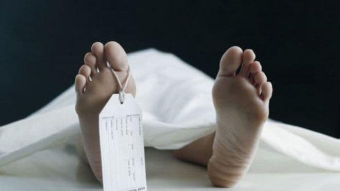 Polisi Ungkap Kronologi Penemuan Sopir Meninggal di Ruas Tol Jakarta-Cikampek