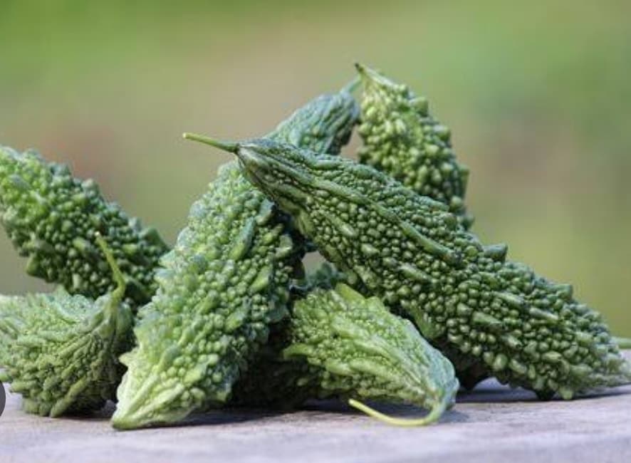 Dibalik Rasanya yang Pahit, Ini Manfaat Pare bagi Kesehatan, Bisa Dimakan Mentah, Dimasak atau Jus