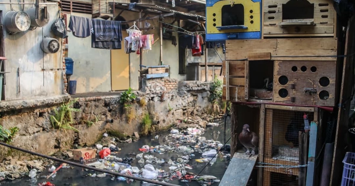 Pemkot Jakbar Cek Status Tanah Kampung Ambon Sebelum Penataan, Bakal Dibuat Taman hingga Lapangan