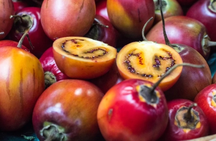 3 Khasiat Jus Terong Belanda, Minuman Segar yang Ternyata Baik untuk Diet