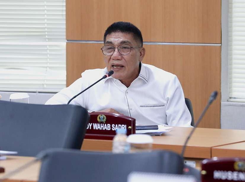 Soroti Minimnya Taman di Permukiman Padat, Legislator Golkar Sardy Wahab: Cari Lokasi Reses Aja Susah