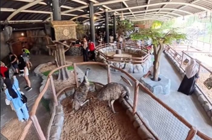 Seru dan Edukatif! D’Otentik Indoor Zoo Jadi Destinasi Baru di Sentul