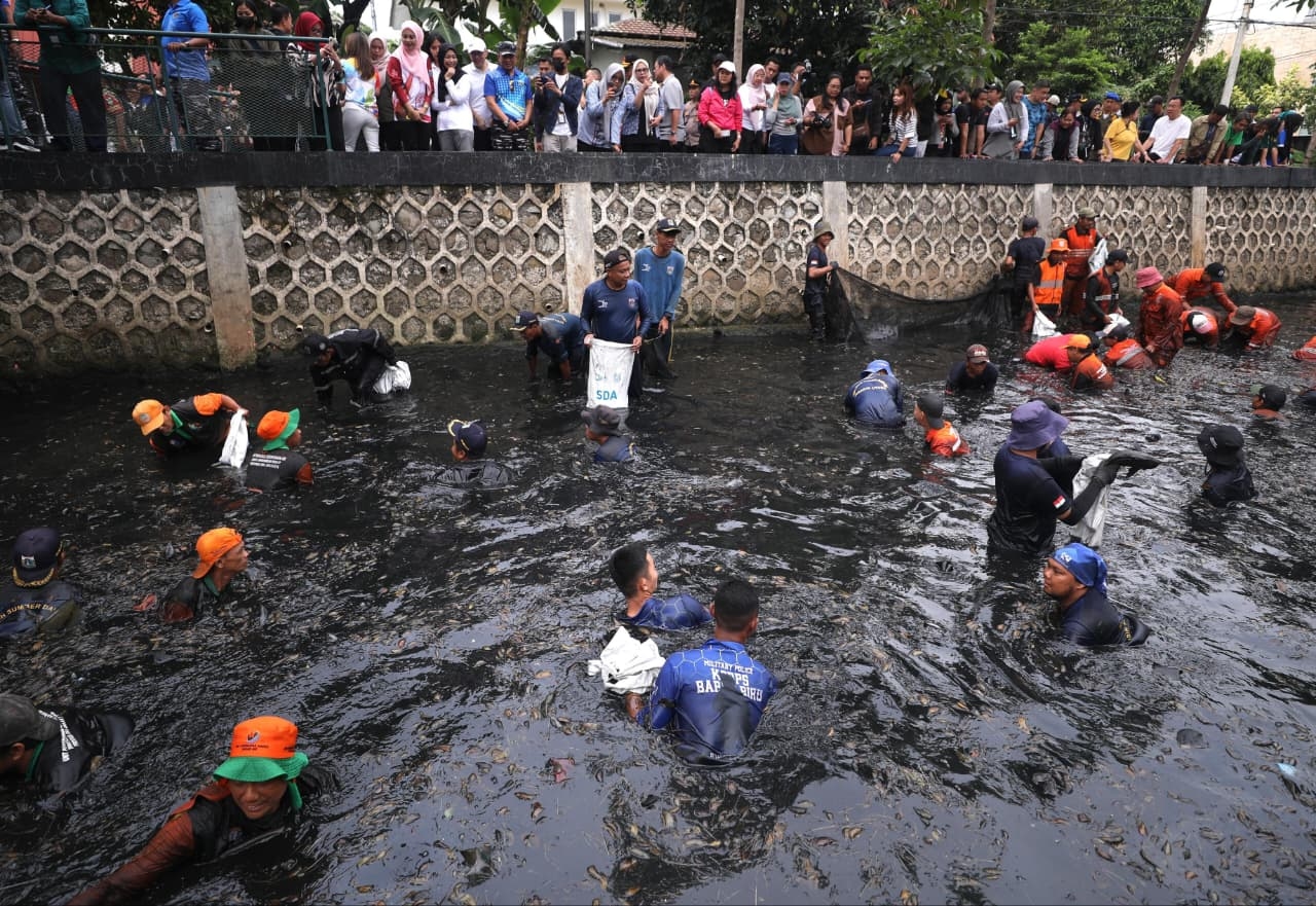 Pemprov DKI Bakal Siapkan Pasukan PJLP Khusus Pemburu Ikan Sapu-sapu, Gubernur Pramono: Populasinya Sudah di Luar Perkiraan!