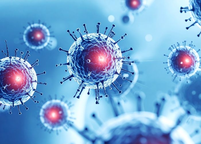 Temukan 4 Kasus di Jakarta, Dinkes DKI Minta Warga Waspada Ancaman Hantavirus