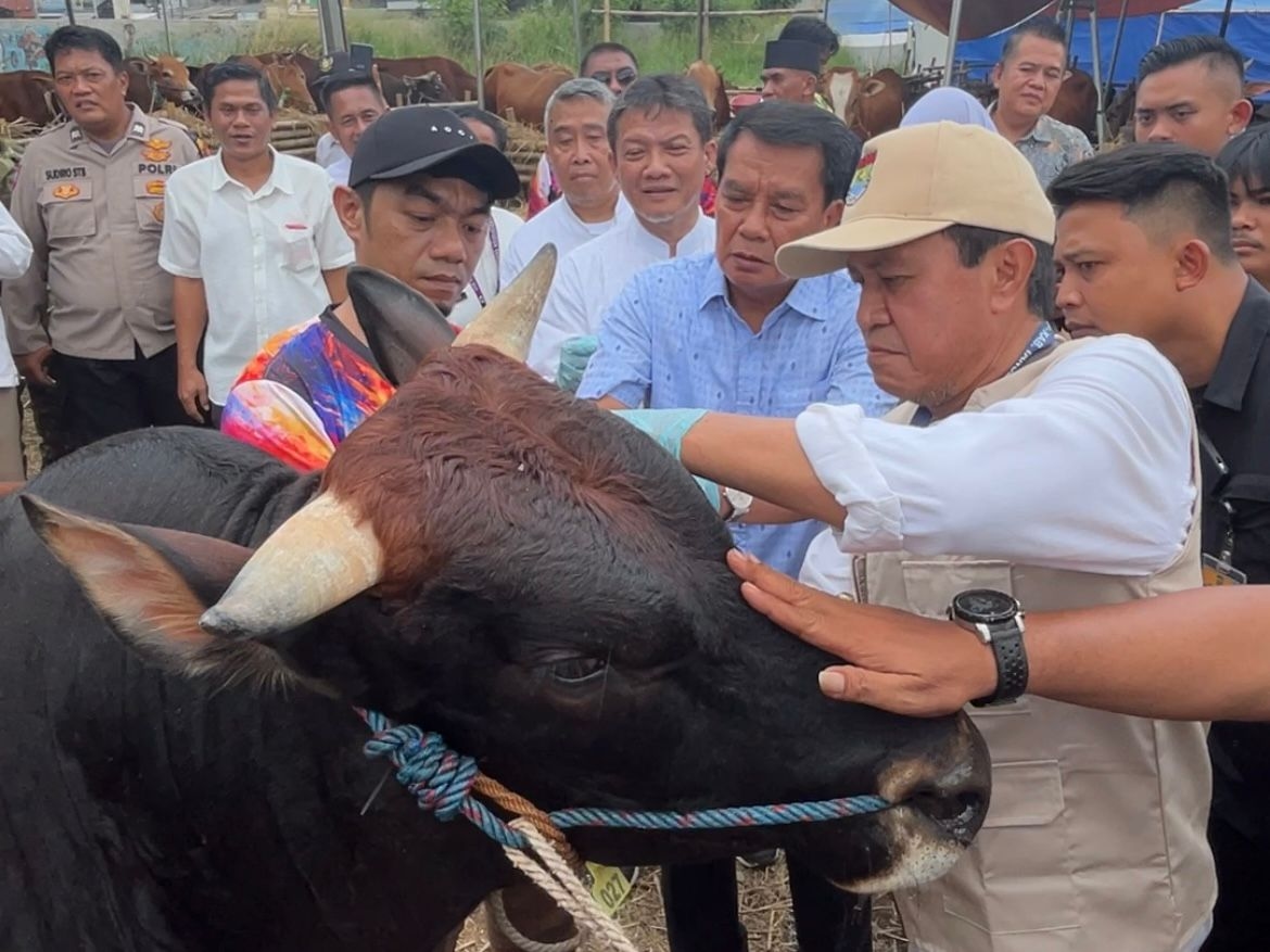Jelang Idul Adha 2026, Bupati Tangerang Sidak ke Sejumlah Lapak Penjualan, Pastikan Hewan Kurban Sehat dan Layak Konsumsi
