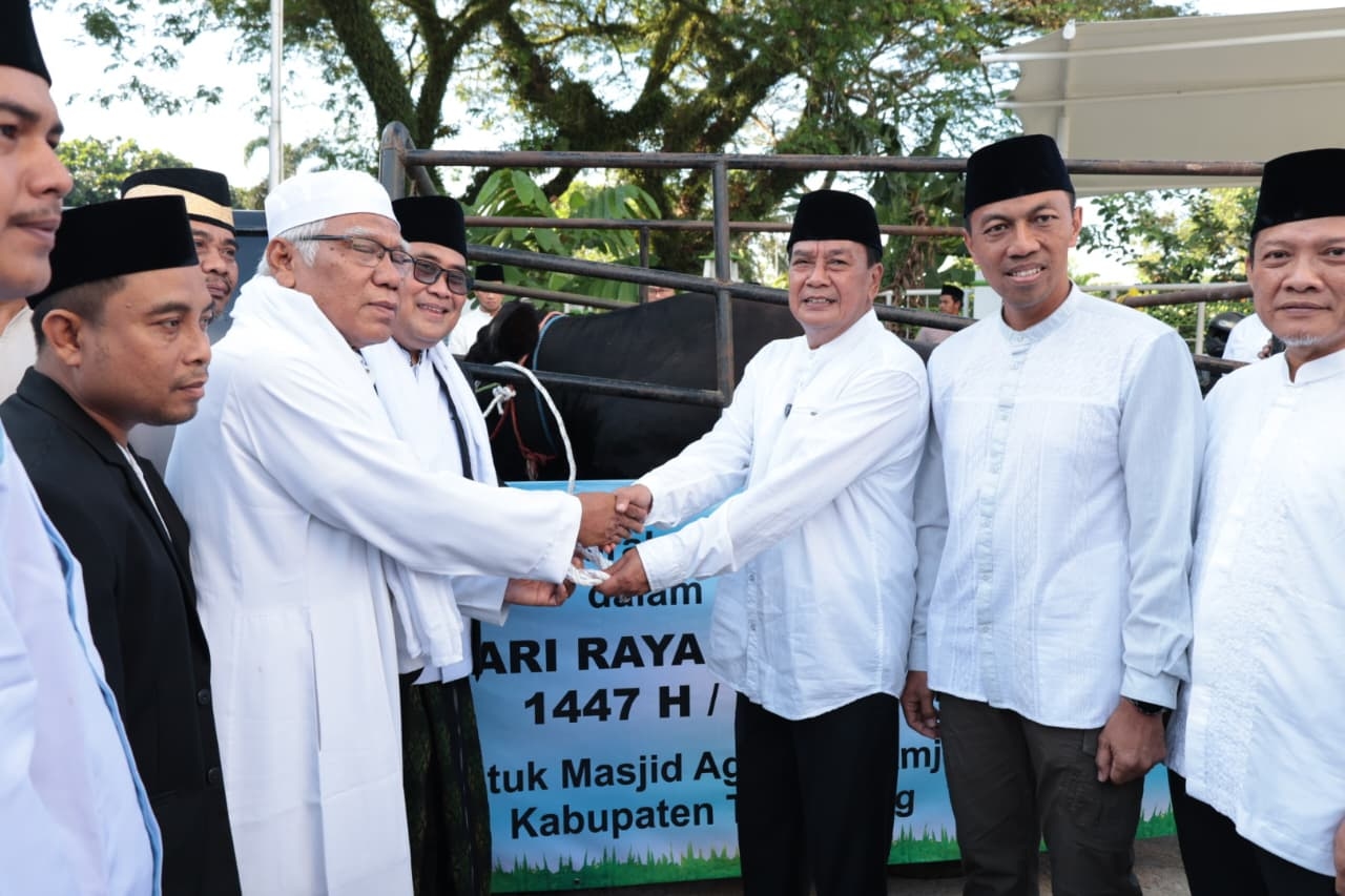 Diserahkan Oleh Bupati Tangerang Maesyal Rasyid, Sapi Kurban Presiden Prabowo Seberat 1,08 Ton Dipotong di Masjid Agung Al-Amjad