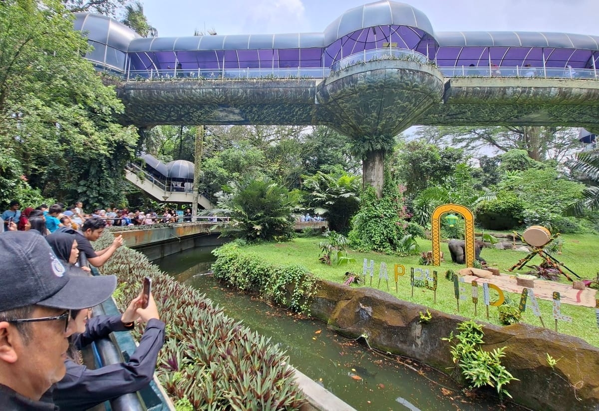 Wisata di HUT ke-499 Jakarta Pecahkan Rekor, Gubernur Pramono: Ragunan Tembus 135.500 Pengunjung