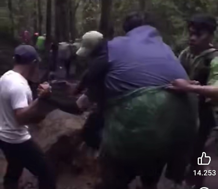 Viral, Evakuasi Dramatis Pendaki 145 Kg di Gunung Gede Pangrango