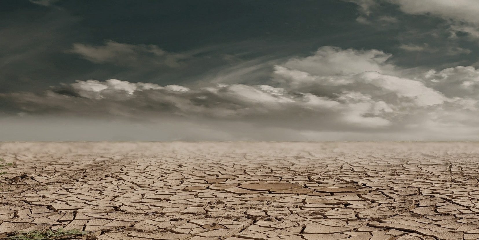 Potensi Hujan di Jabodetabek Melandai, BMKG: Sinyal Awal Transisi Musim Kemarau