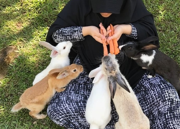 Hukum Makan Daging Kelinci dalam Islam: Halal atau Haram? Ini Penjelasan Ulama dan Dasar Hukumnya