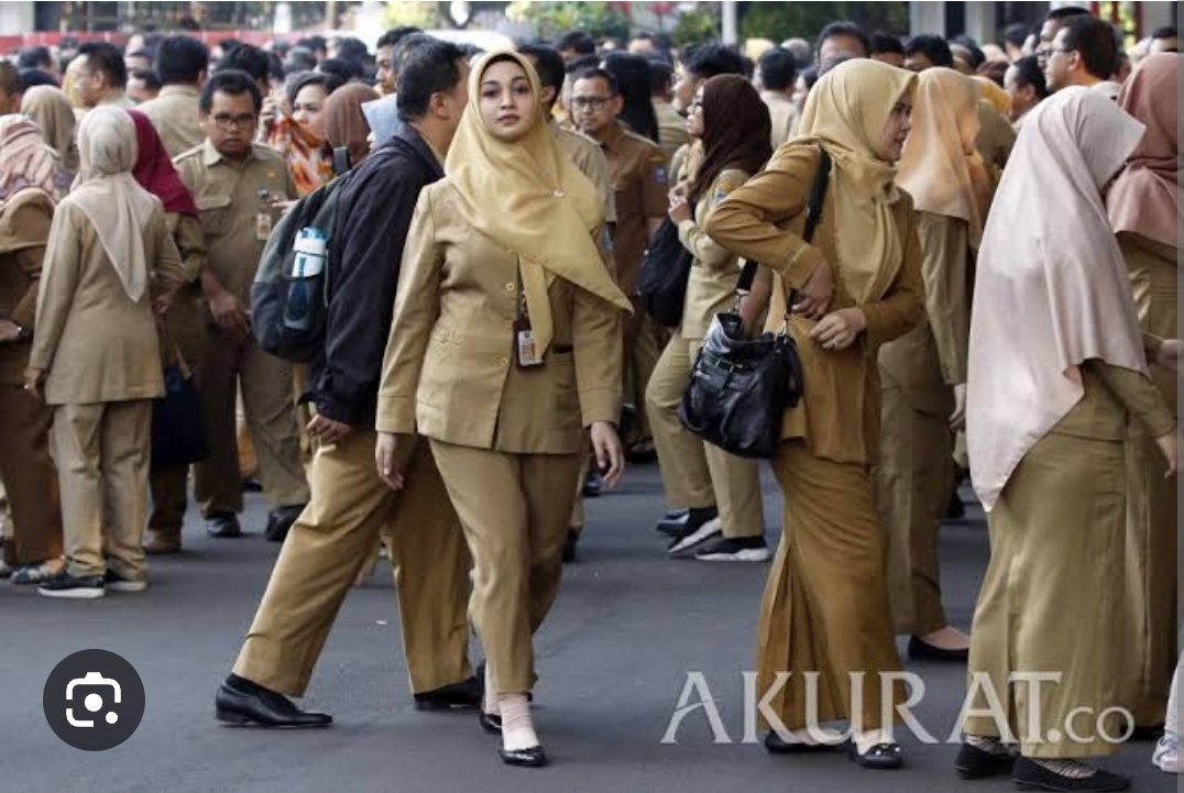 Asyik Gaji PNS Resmi Naik, Berikut Daftar Gajinya