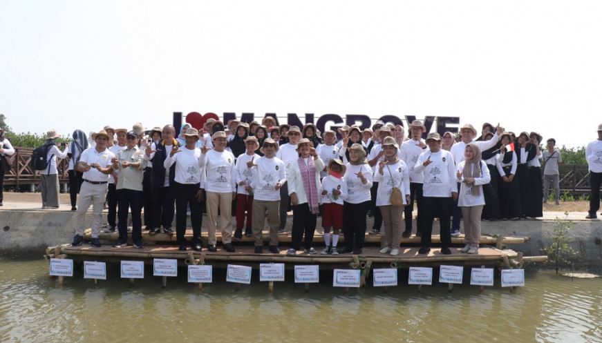 Pemkab Tangerang Bersama Kemenko Marves Giat Konservasi Mangrove di Ketapang