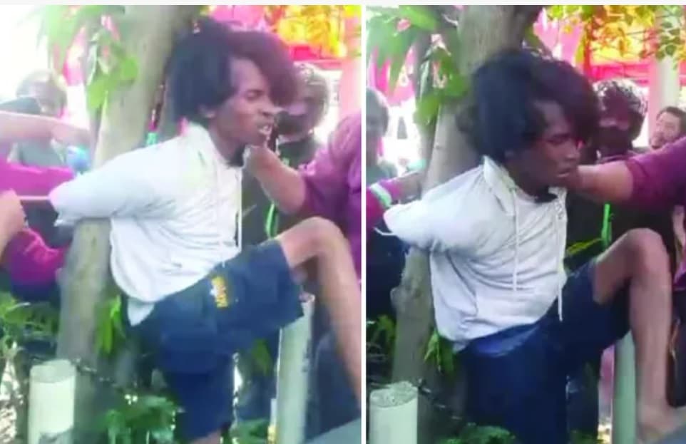 Viral! Jambret Diikat di Pohon dan Jadi Bulan-bulanan Warga Sawah Besar, Ketangkap Karena Rampas HP Emak-emak