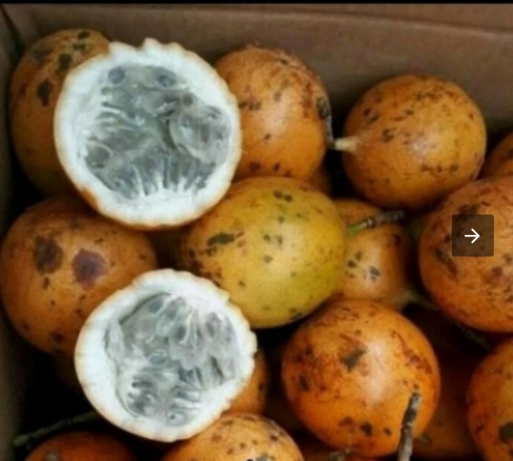 10 Manfaat Markisa untuk Kesehatan Tubuh, Bisa Mencegah Penyakit Kronis hingga Menjaga Kesehatan Jantung