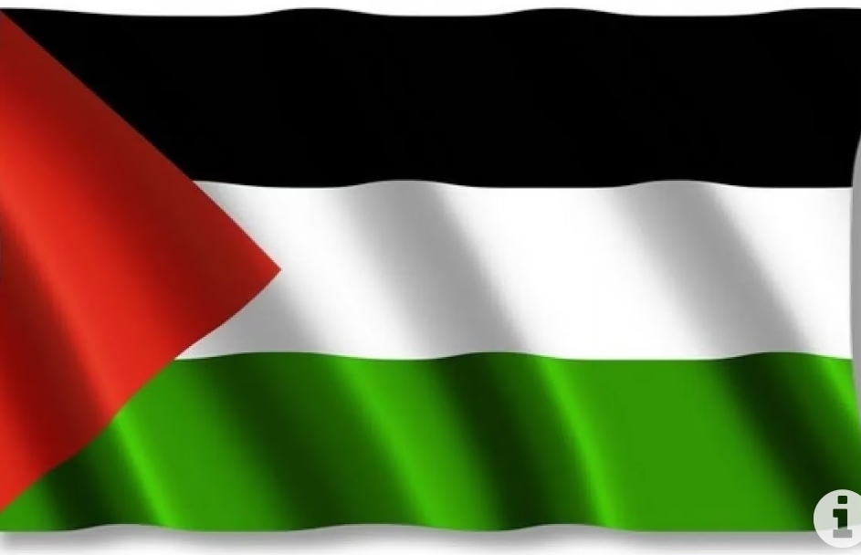 Daftar Lengkap 138 Negara yang Dukung Kemerdekaan Palestina, Nama Sesuai Abjad