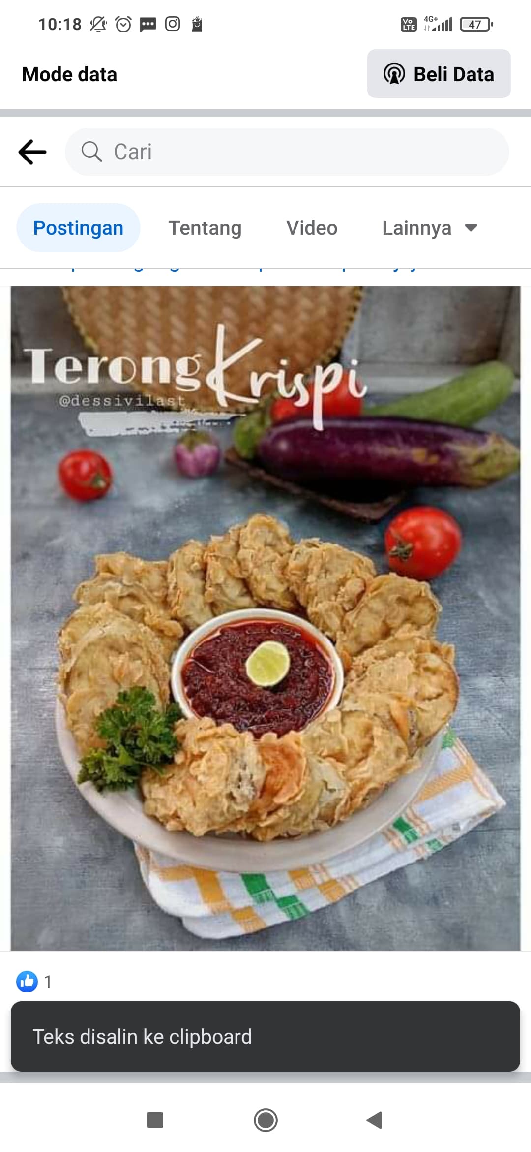 Mudah Resep Terong Krispi, Cocok Jadi Cemilan Bisa Juga Buat Lauk Makan