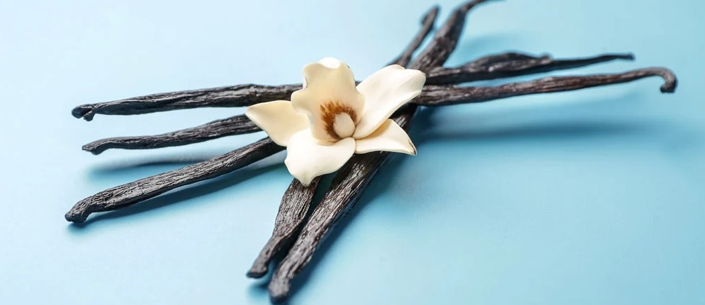 10 Fakta Vanila yang Jarang Orang Tahu, Salah Satu Bahan Baku Populer yang Punya Harga Fantastis