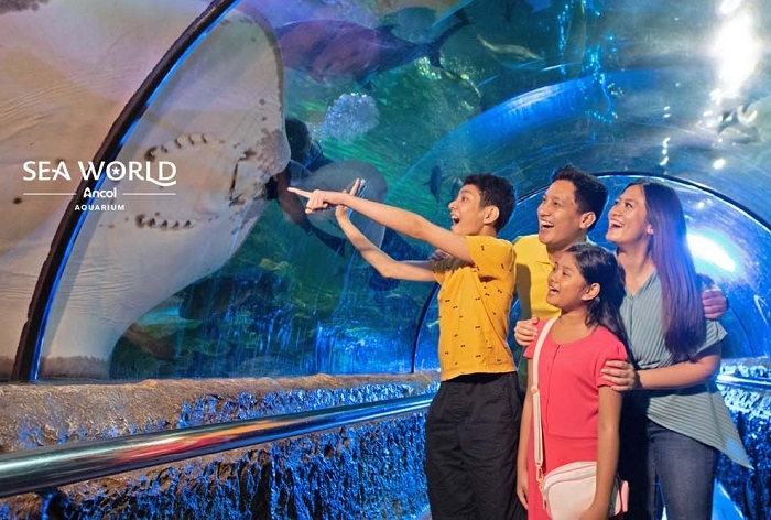 BURUAN! Masuk Seaworld Ancol Cuma Rp47 Ribu, Cek Syarat dan Batas Waktunya