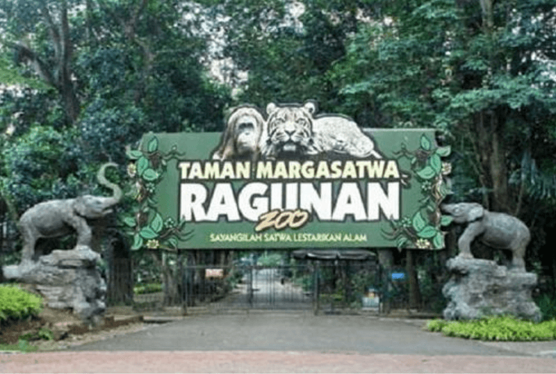 Night at The Ragunan Zoo Digelar Lagi Besok Malam, Cek Jadwal, Harga Tiket, dan Aktivitasnya