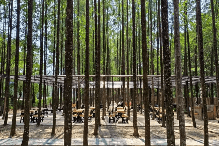 7 Rekomendasi Tempat Wisata Alam yang Ramah Anak Dekat dari Jakarta