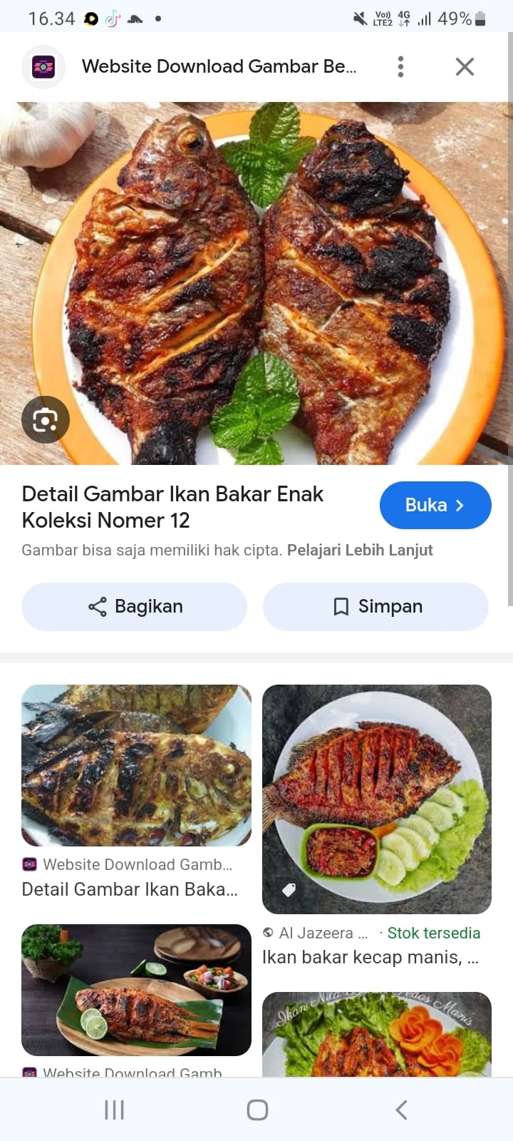 Tips Aman Mengolah Ikan Bakar Lezat dan Tetap Sehat, Cukup Lakukan Ini Sebelun, Saat dan Sesudah Membakar