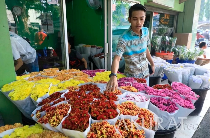 Pecinta Bunga Hias Merapat! Festival Bunga Rawa Belong 2024 Digelar Lagi, Ada Banyak Lomba dan Flash Sale, Catat Tanggalnya