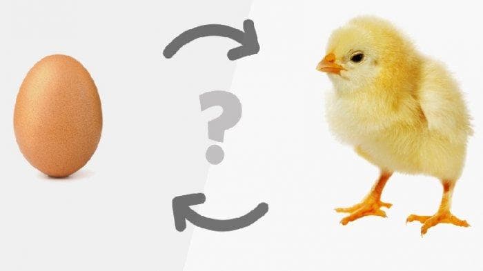 Lebih Dulu Mana Ayam atau Telur? Simak Penjelasan Ilmiahnya, Biar Gak Berantem!